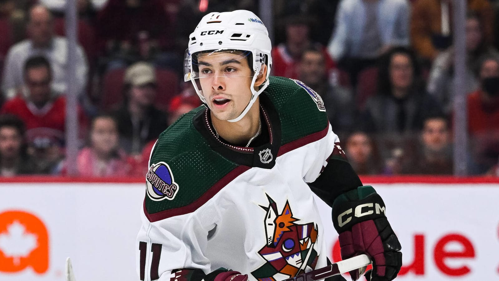 Dylan Guenther to remain with Coyotes