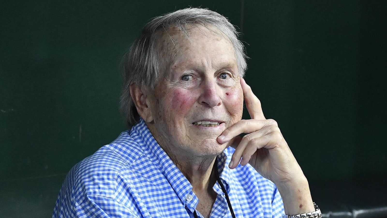 Brooks Robinson had one of the best World Series performances