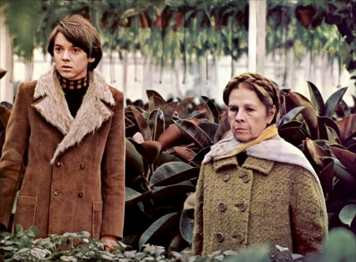 Harold and Maude (1971)