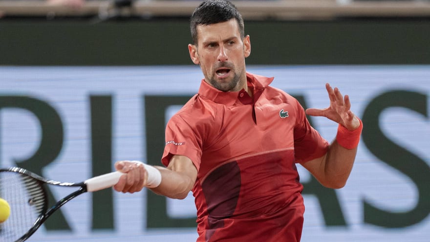 Novak Djokovic pays tribute to almost-compatriot Nikola Karabatic’s heroics to get his team across the line in a historic ending