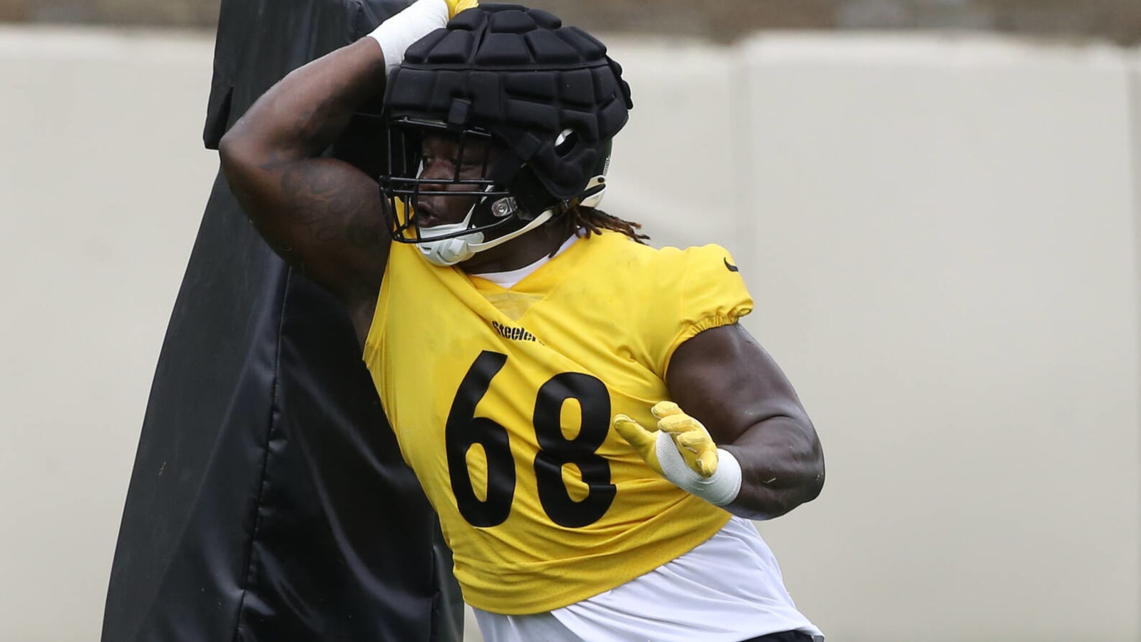 Texans Sign former Steelers DT after Strong USFL Season