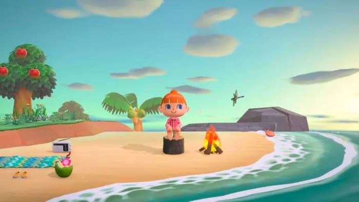 'Animal Crossing: New Horizons'