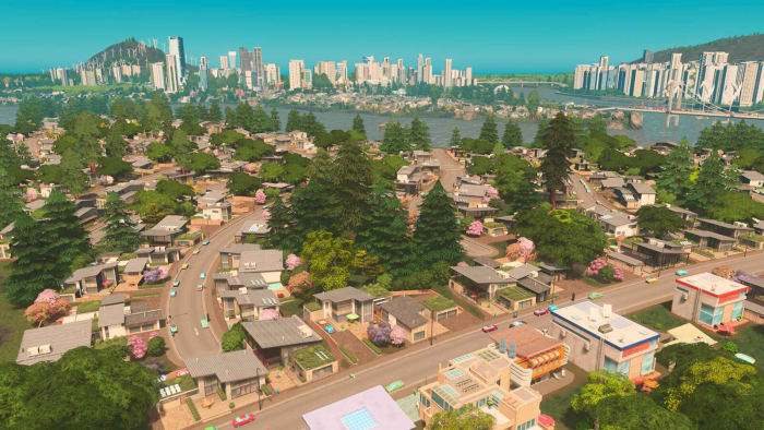 'Cities: Skylines'