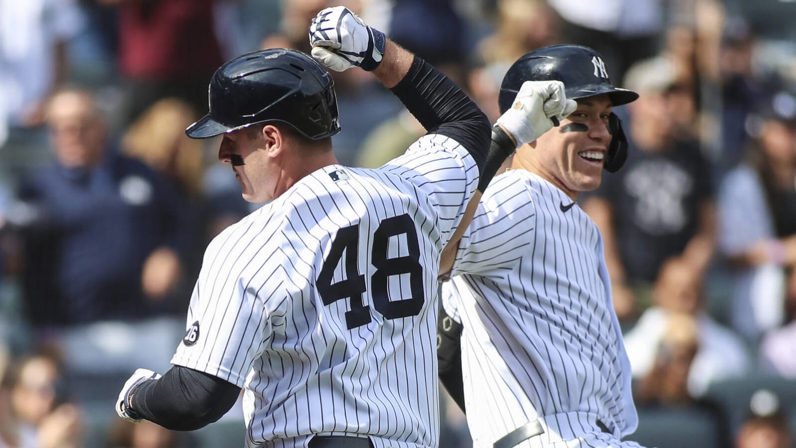 The Driving Factor For Aaron Judge Returning To The Yankees? Anthony Rizzo  Guilt Tripping Him With His Amazing Dog Kevin