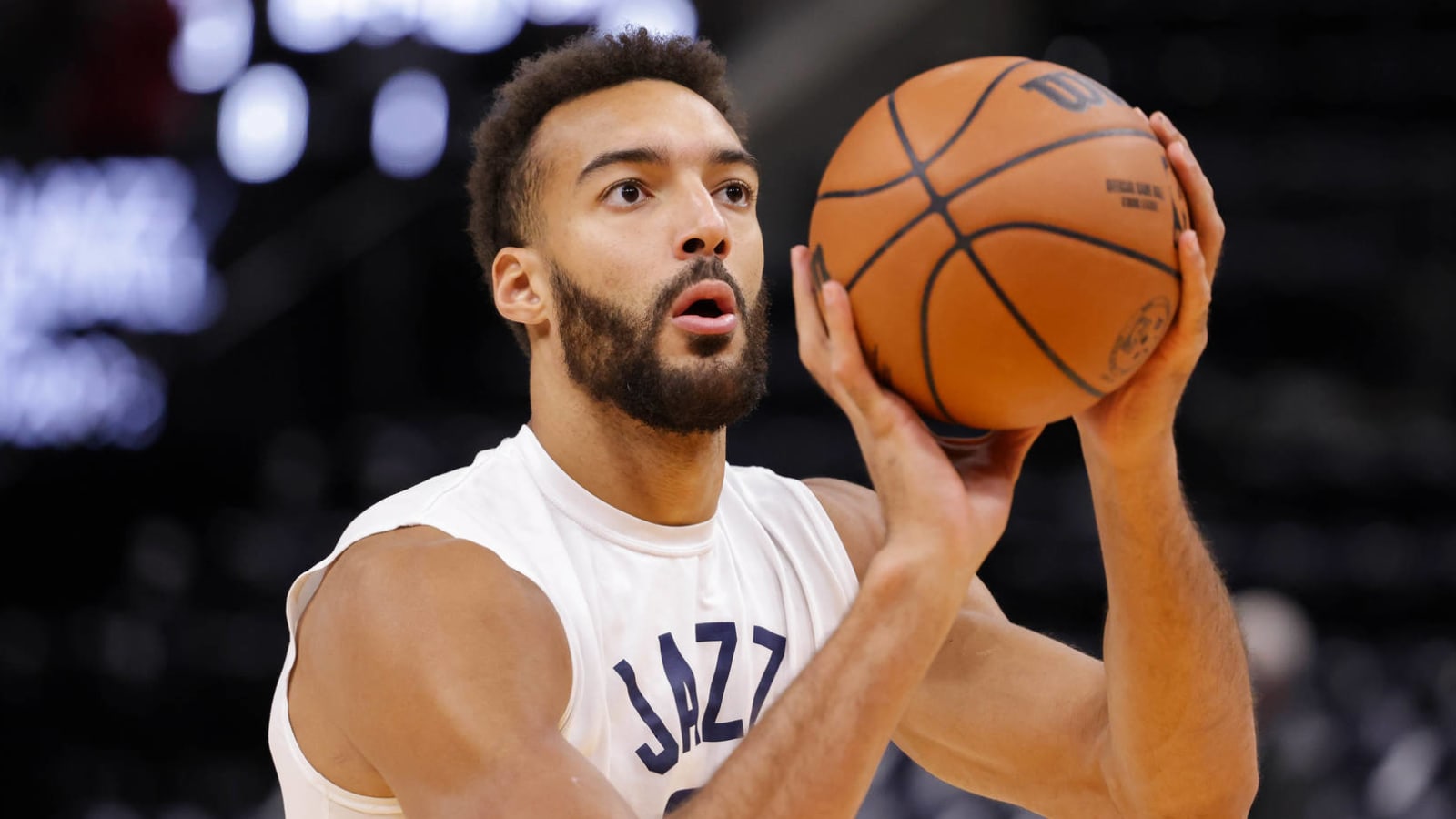 Rudy Gobert on fan who delayed game: 'He was smiling and throwing up at the same time.'