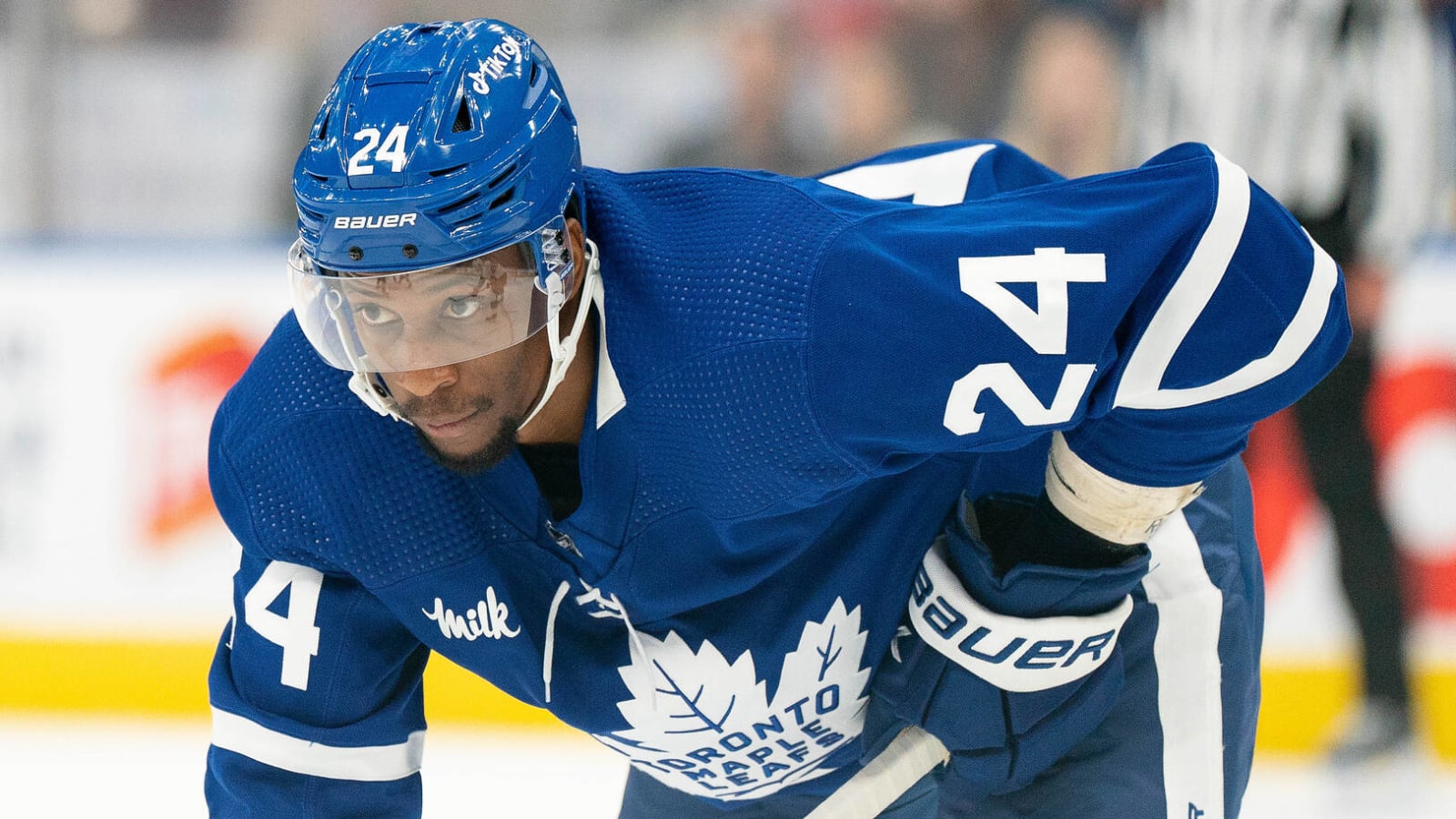 tor maple leafs tor maple leafs