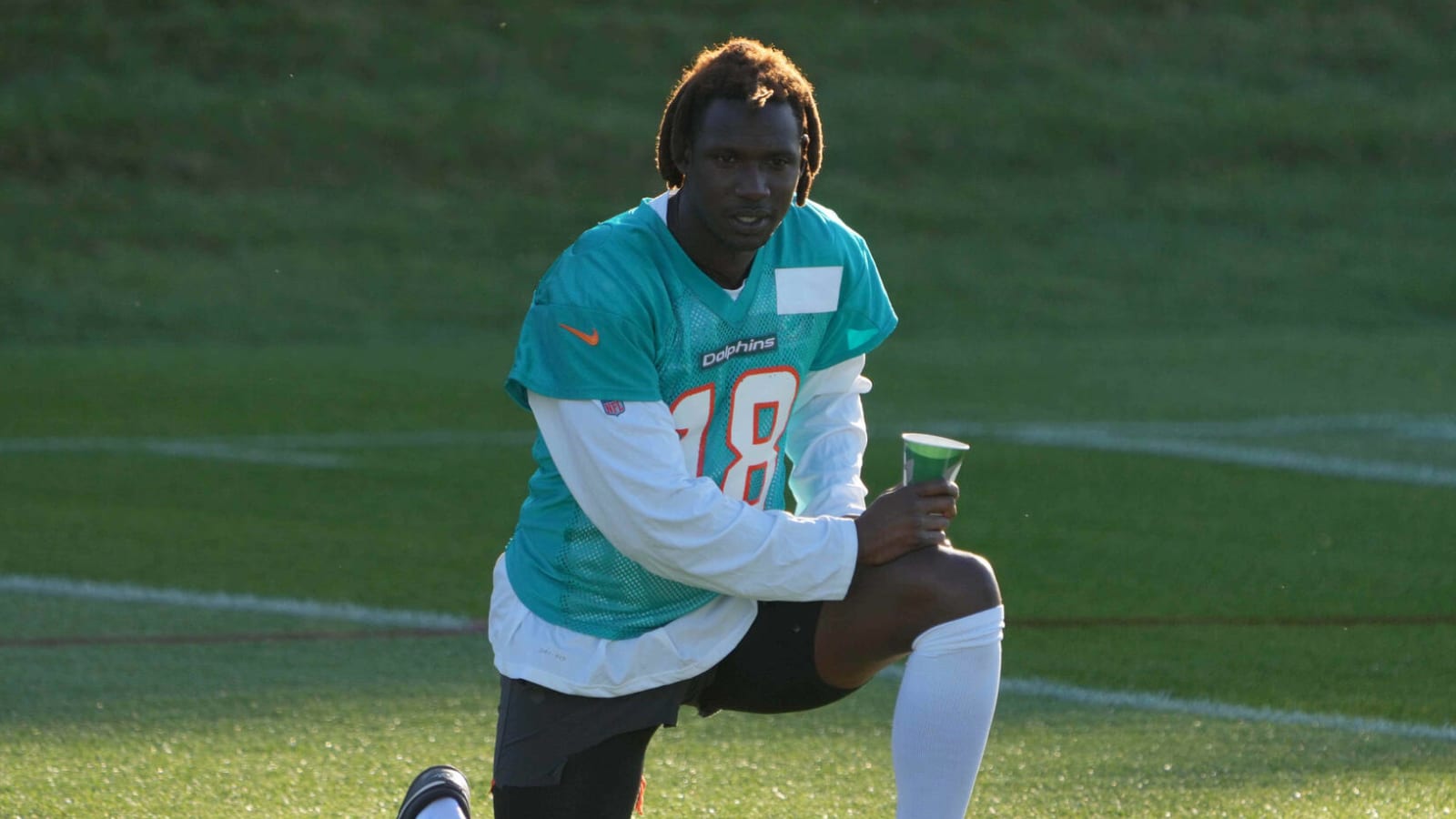 Dolphins WR Preston Williams unhappy with projected role?