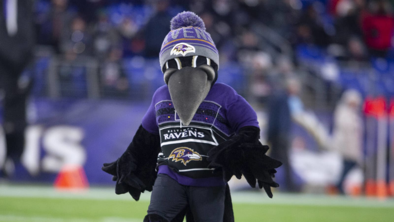 Ravens provide funny update on injured mascot