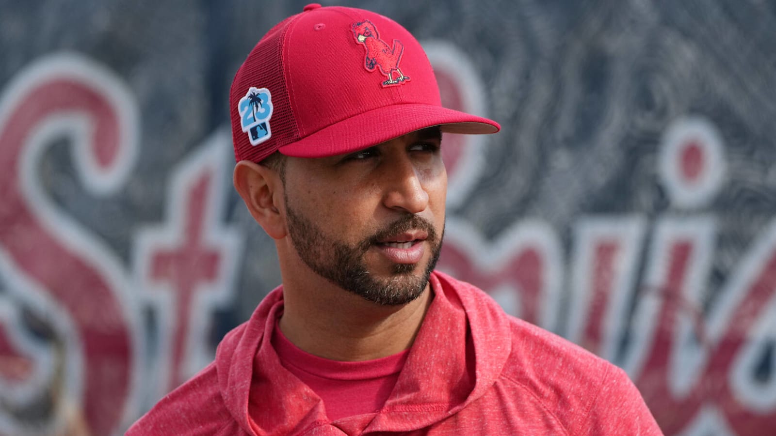MLB investigating exchange between Cardinals manager, ump