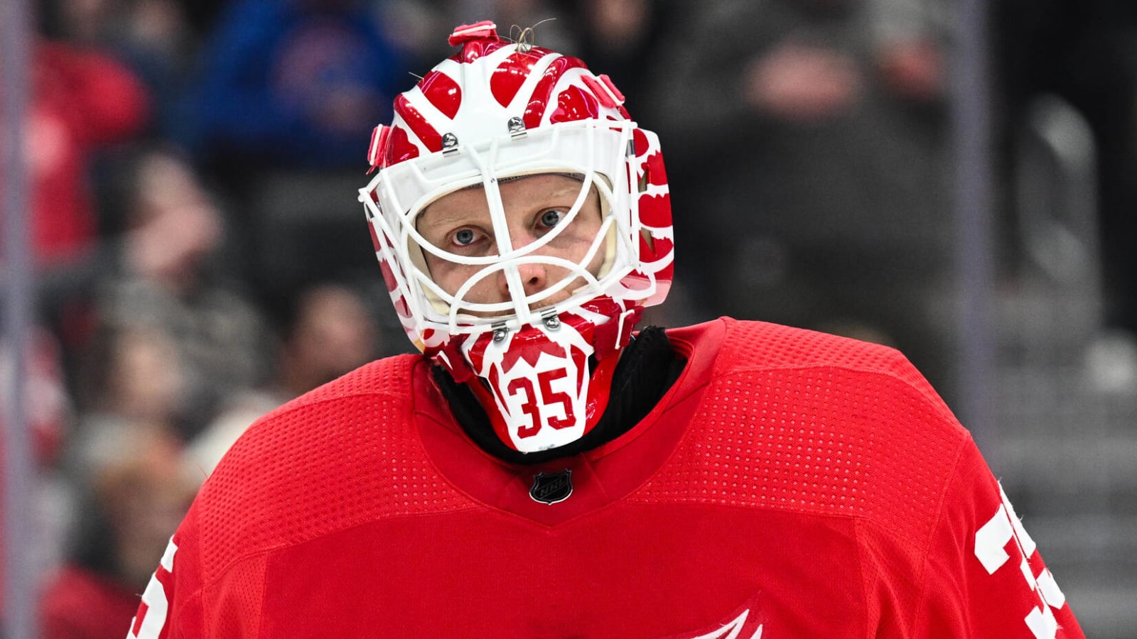 Red Wings goaltender away from team