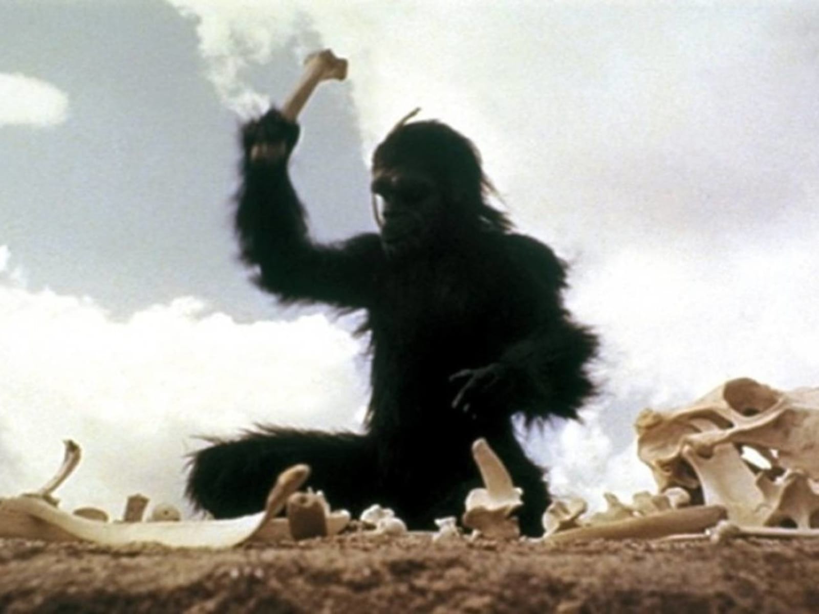 25 movies that deal with prehistoric times | Yardbarker 25 movies that deal with prehistoric times | Yardbarker