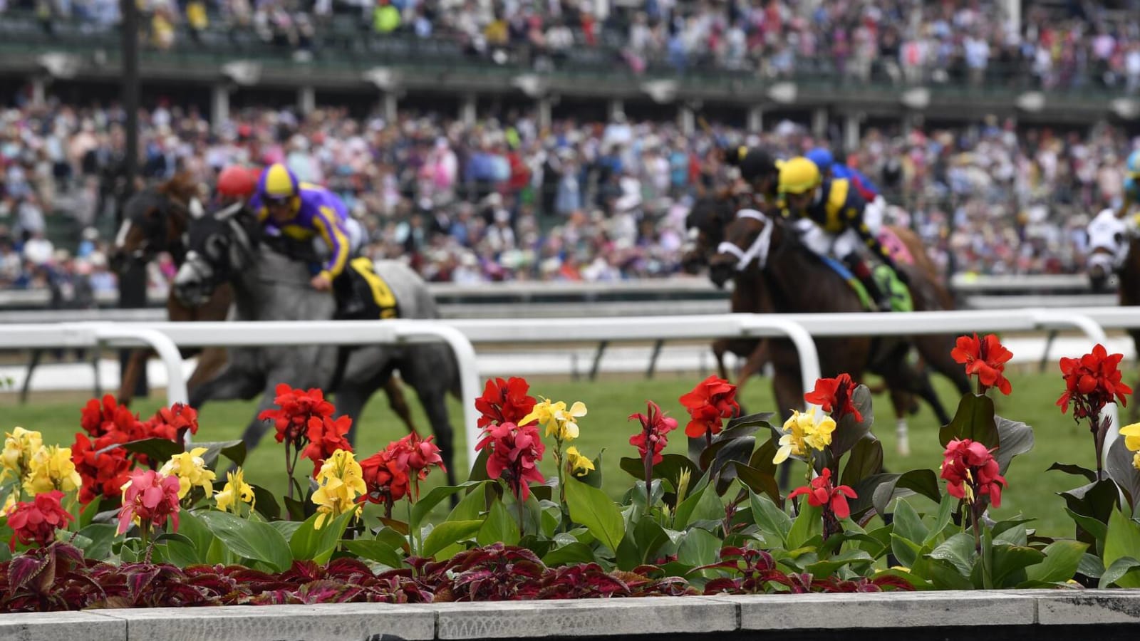 Two more horses died at Churchill Downs ahead of Kentucky Derby