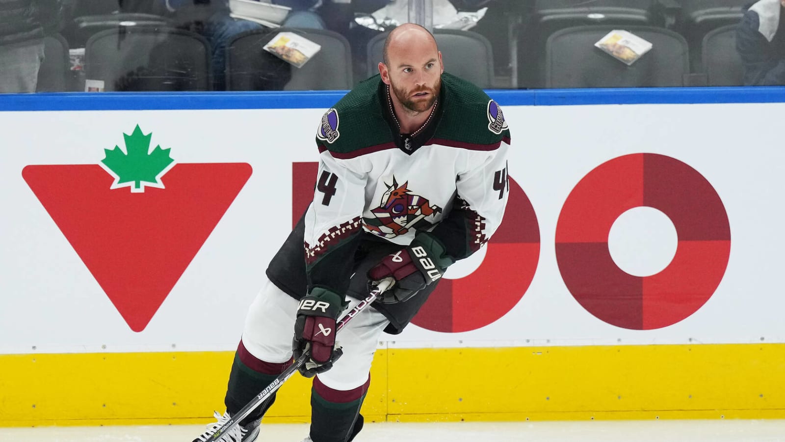 Coyotes activate forward Zack Kassian