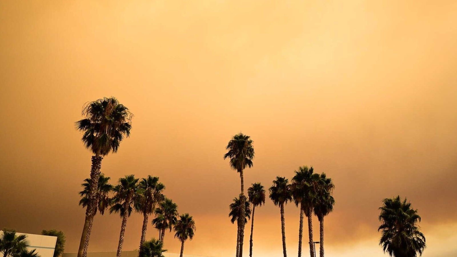 L.A. wildfires force postponement of Kings' NHL game
