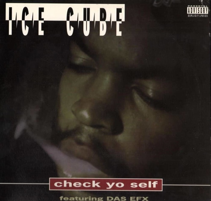 "Check Yo Self" by Ice Cube feat. Das EFX