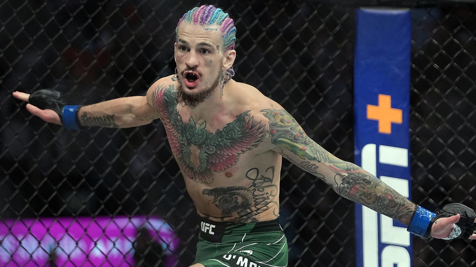 Sean O'Malley believes title shot is close: 'People want to see me be champion'