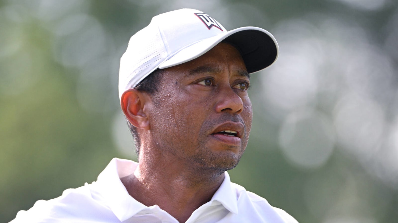 Bettor makes $20K wager on Tiger to win PGA Championship