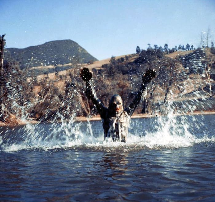 Jack Arnold remade "The Creature from the Black Lagoon"?