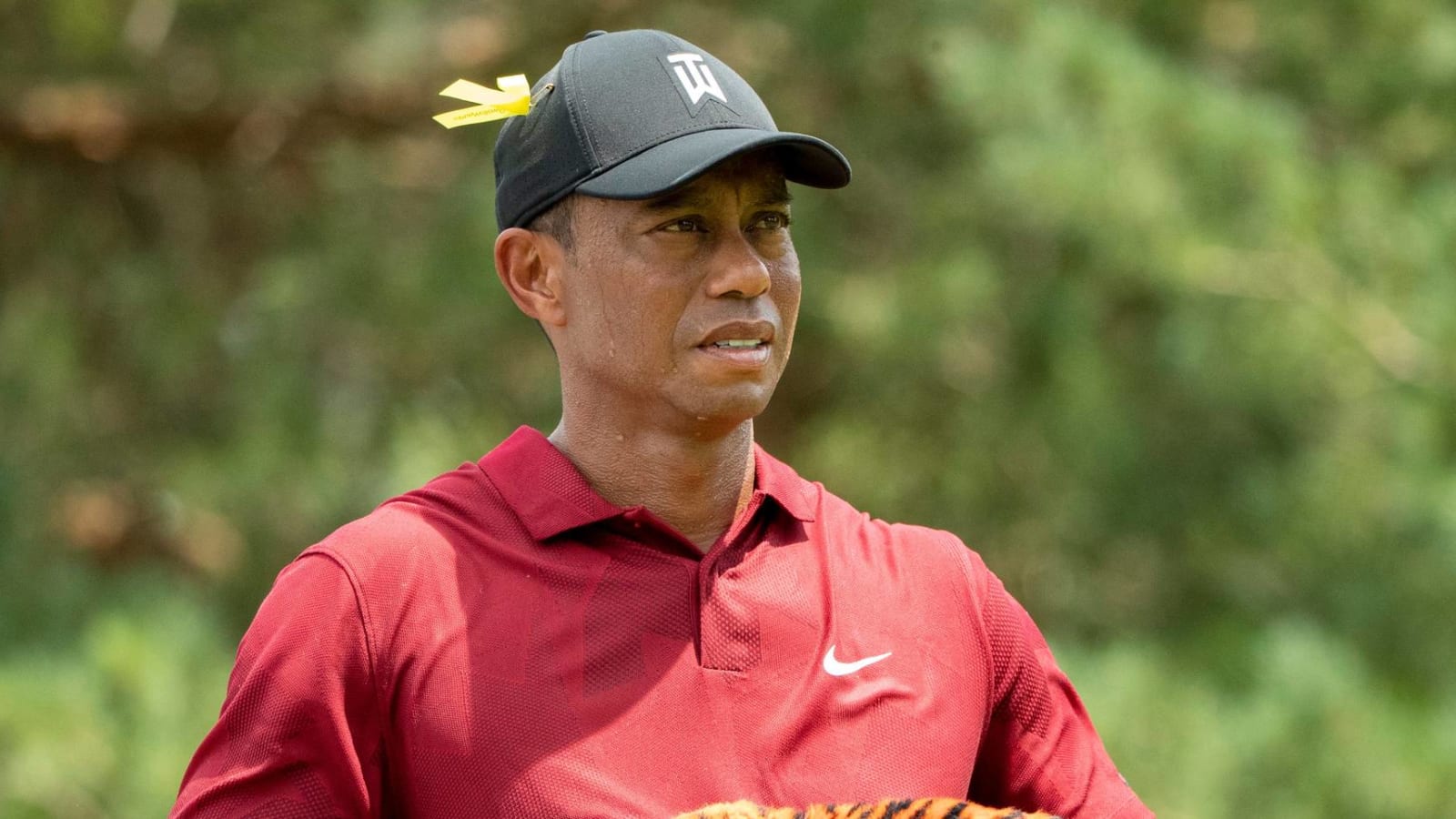 Tiger Woods did not remember driving following crash