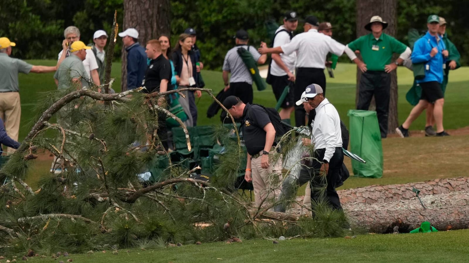 Tree nearly falls on spectators at Masters in scary incident