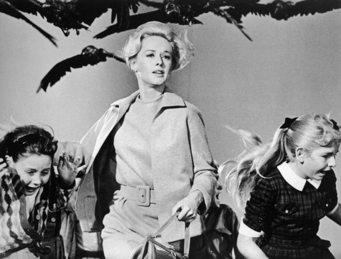 The Birds (1963)