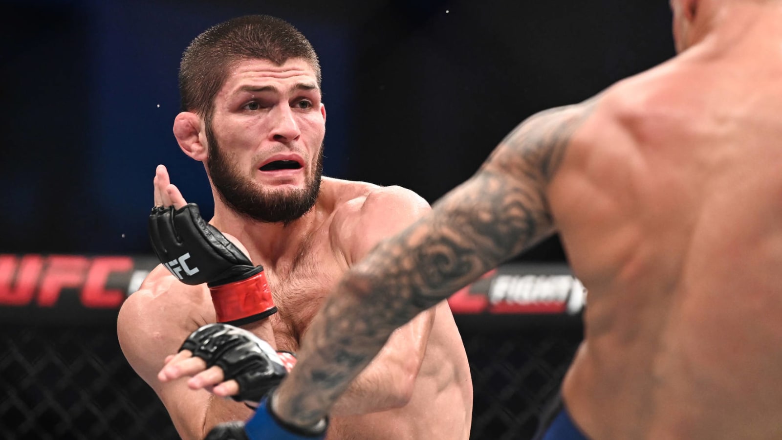 Dana White believes Khabib Nurmagomedov could unretire, return to UFC