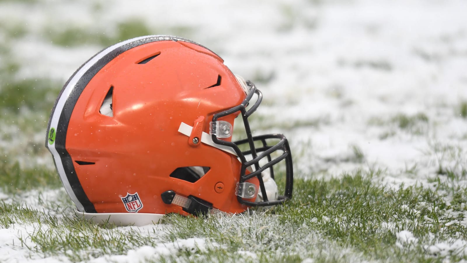 Browns reveal finalists for official 'Dawg Pound' logo