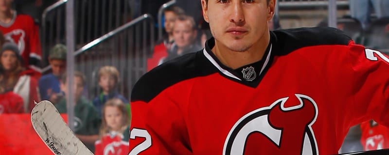 WATCH: Jordin Tootoo lays knockout punch on Brad Malone