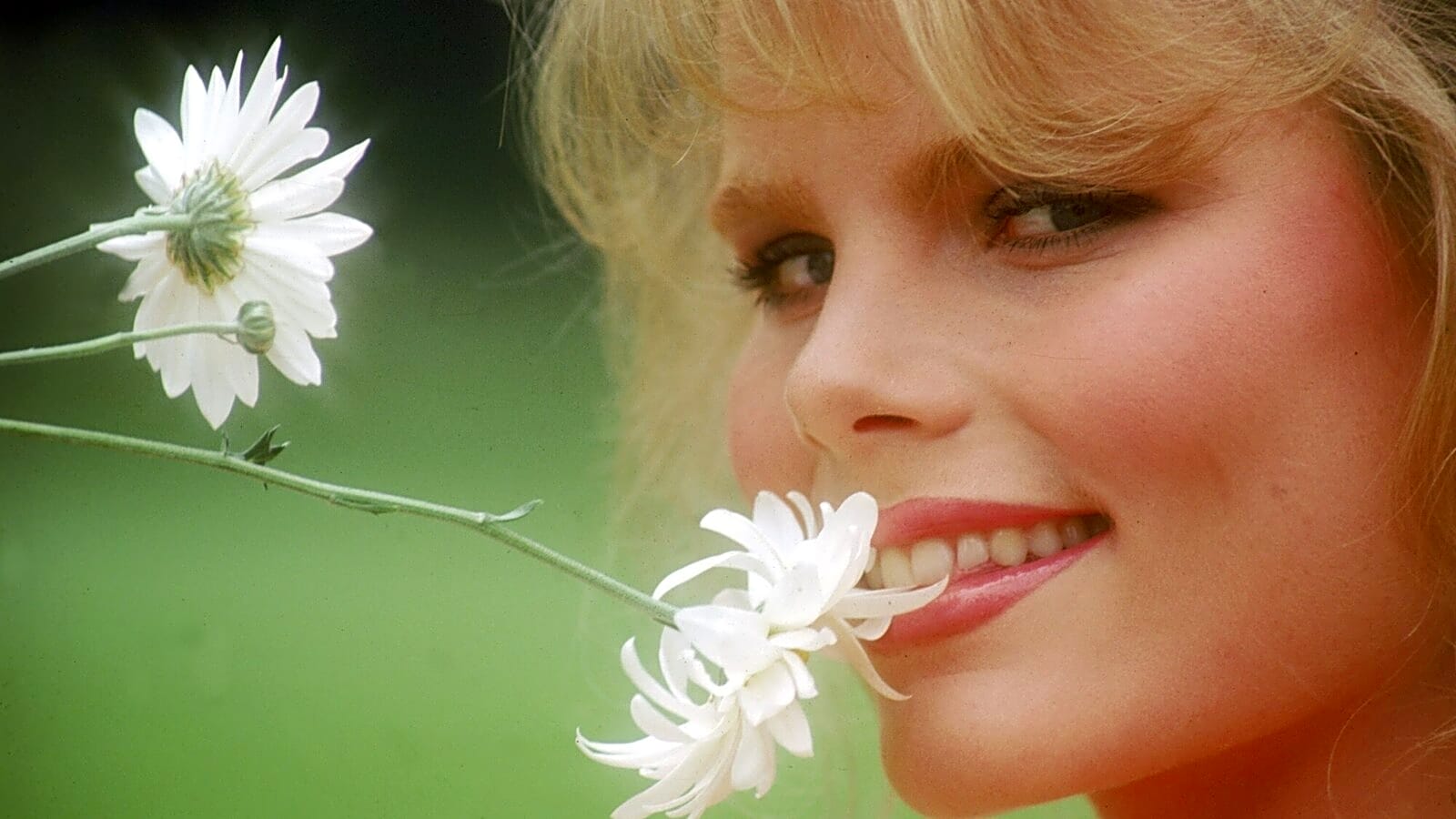 25 movies that leave viewers completely devastated
