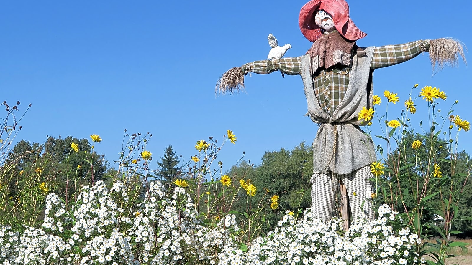 20 out-of-the-ordinary fall activities you should add to your bucket list