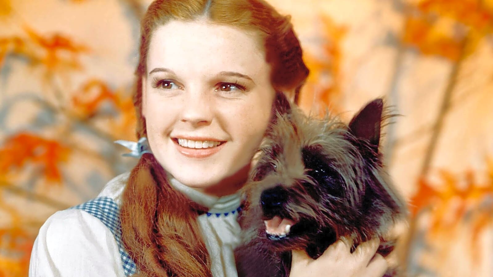 The 20 most beloved movie dogs