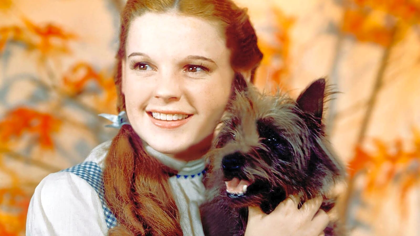 The 24 most beloved pop culture pets