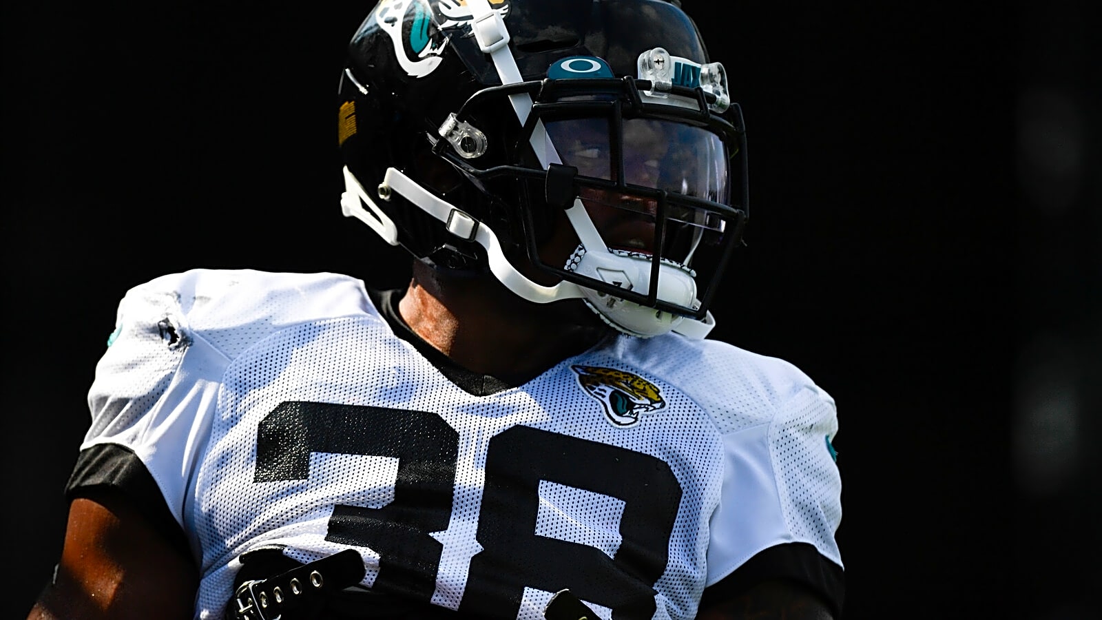 The greatest seasons by undrafted NFL rookies