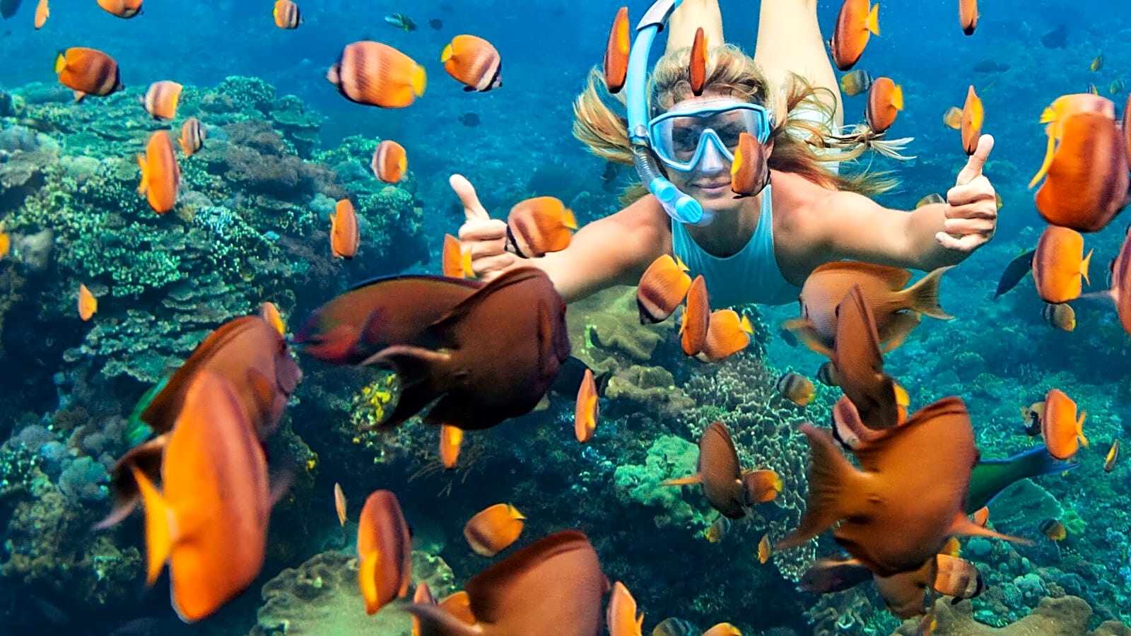20 tropical destinations to fantasize about in the summer