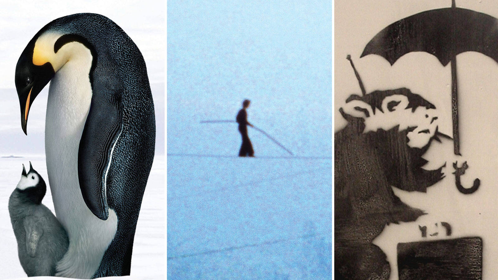 The 21 best documentaries of the 21st century (so far)