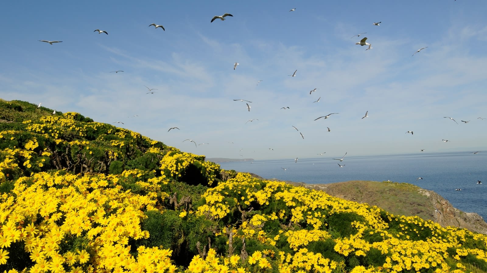 21 amazing US island destinations to visit