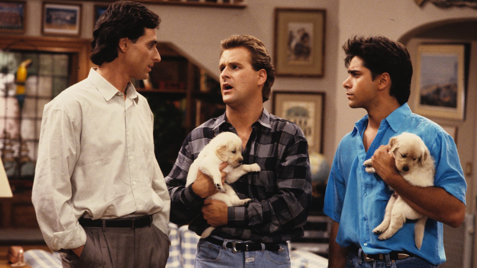 The 20 most famous dogs in television history
