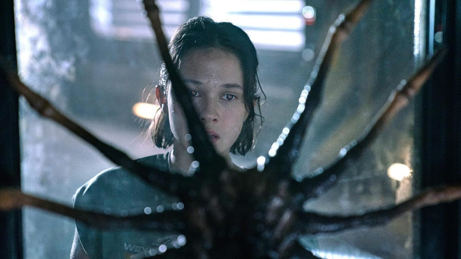 The breakthrough actors of 2024