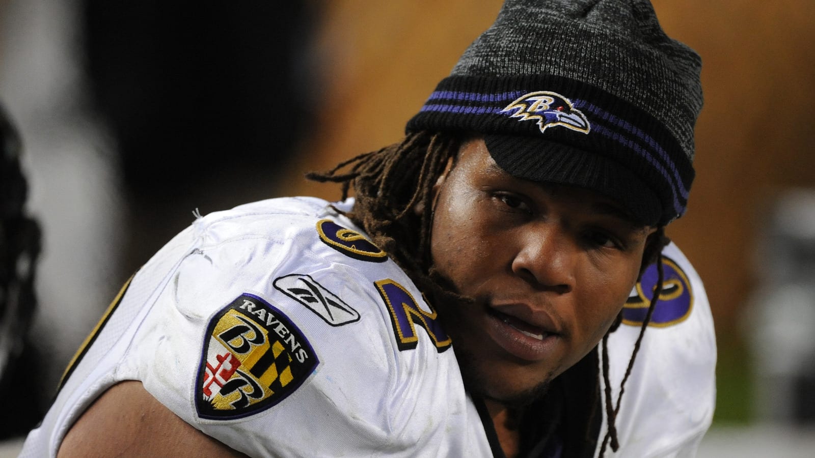 Former Raven Terrence Cody convicted of animal cruelty