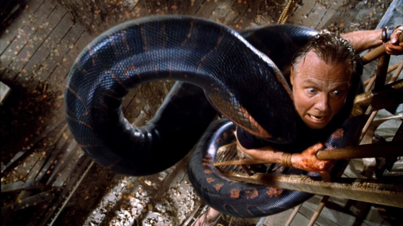 Wild things: Unforgettable killer animals in cinema