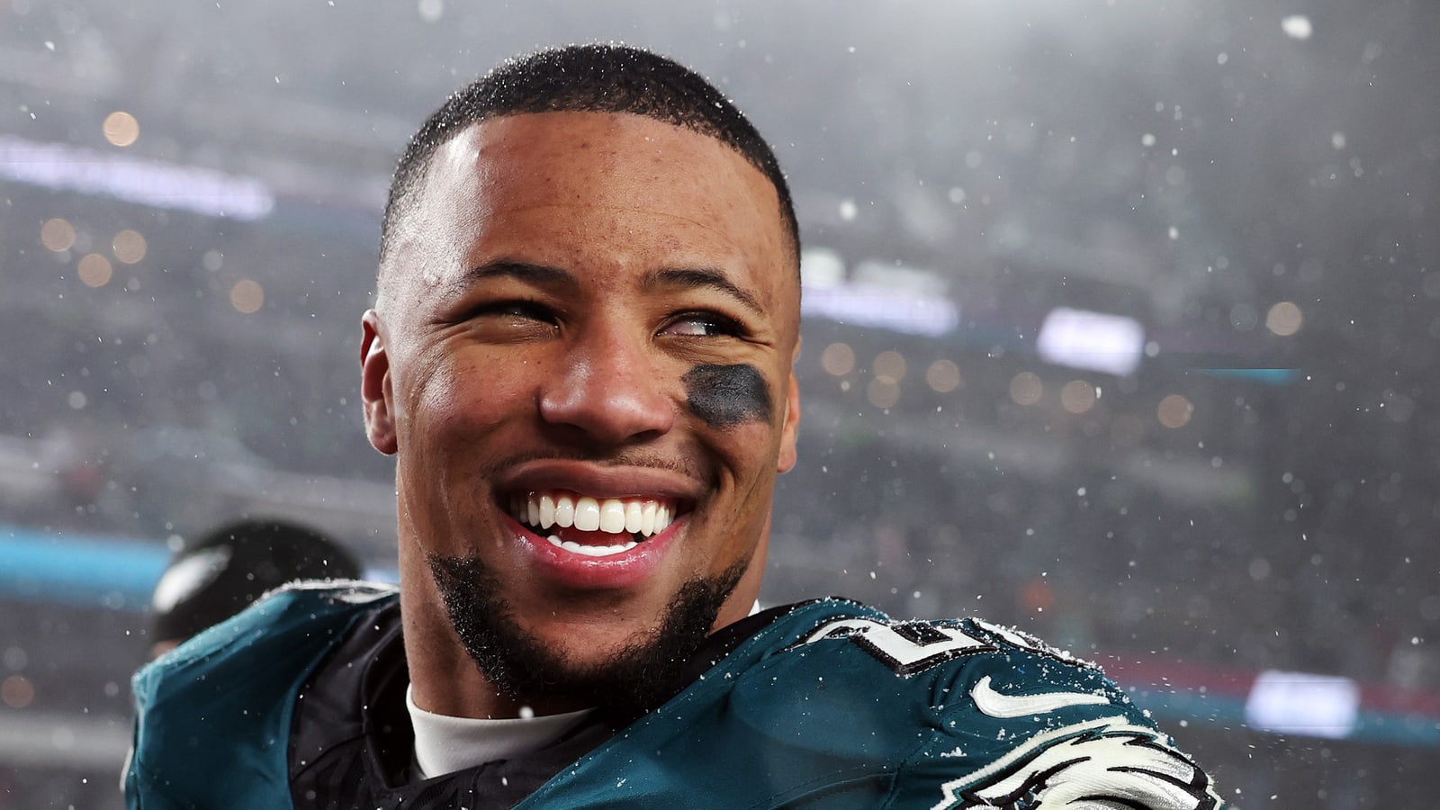 Who has the most rushing yards in a season for every NFL team?