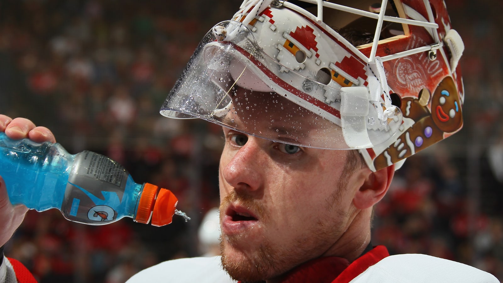 Red Wings stand behind struggling G Jimmy Howard