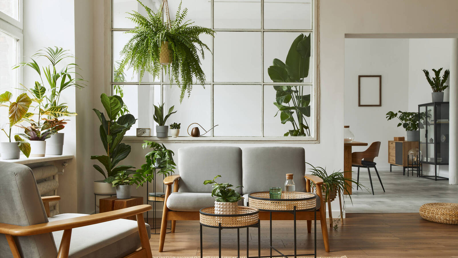 Breathe easy: 15 ways to improve the air quality in your home