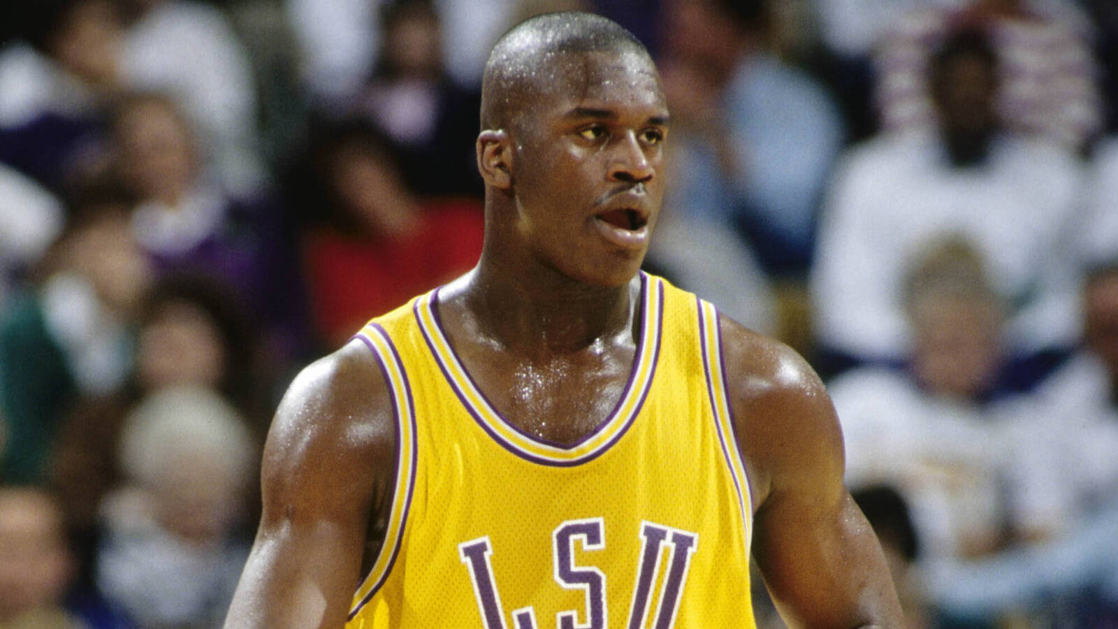 The 20 greatest players in LSU men's basketball history