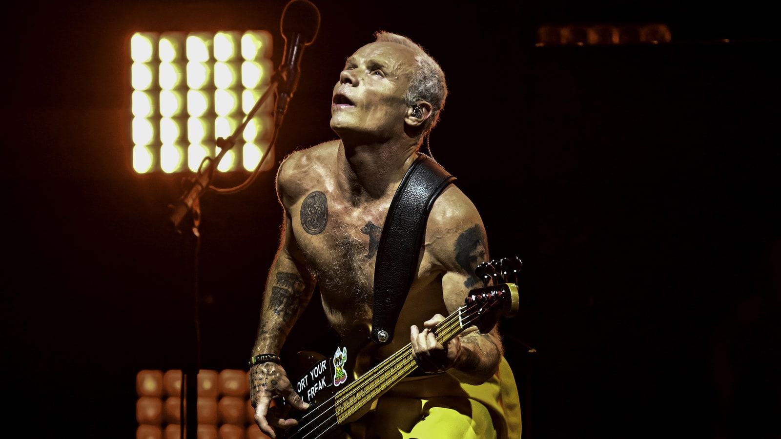 The 25 greatest bass players of all time, ranked