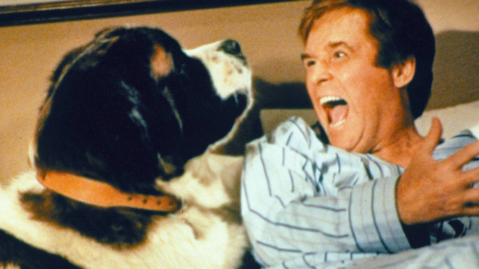 Top dogs: The 20 most recognizable canine film stars