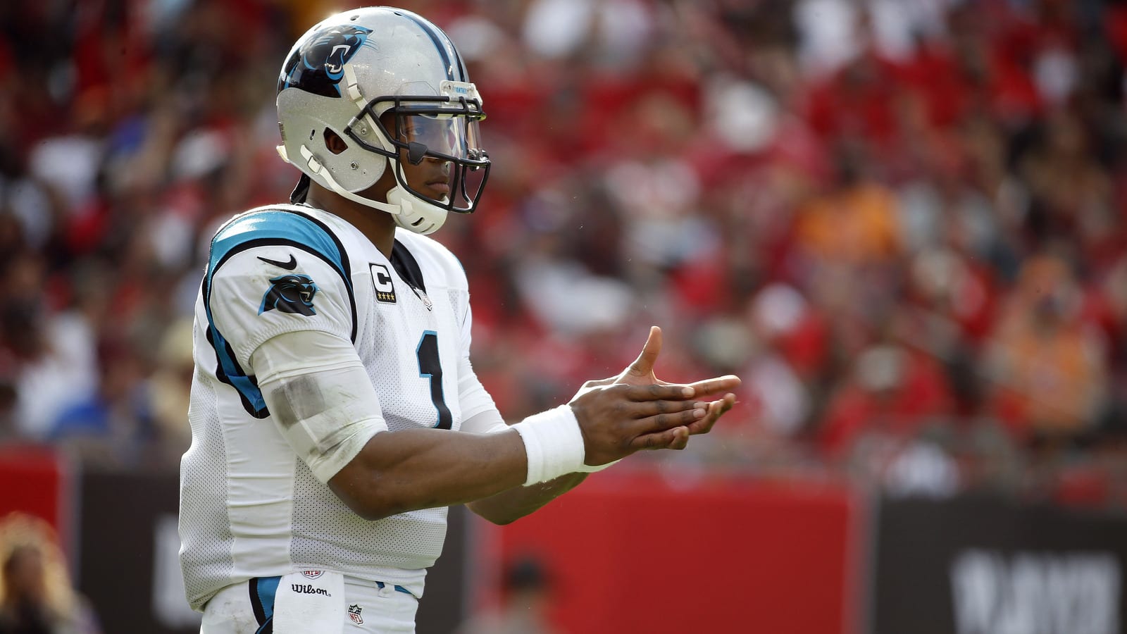 The 'QBs to start for the Carolina Panthers' quiz
