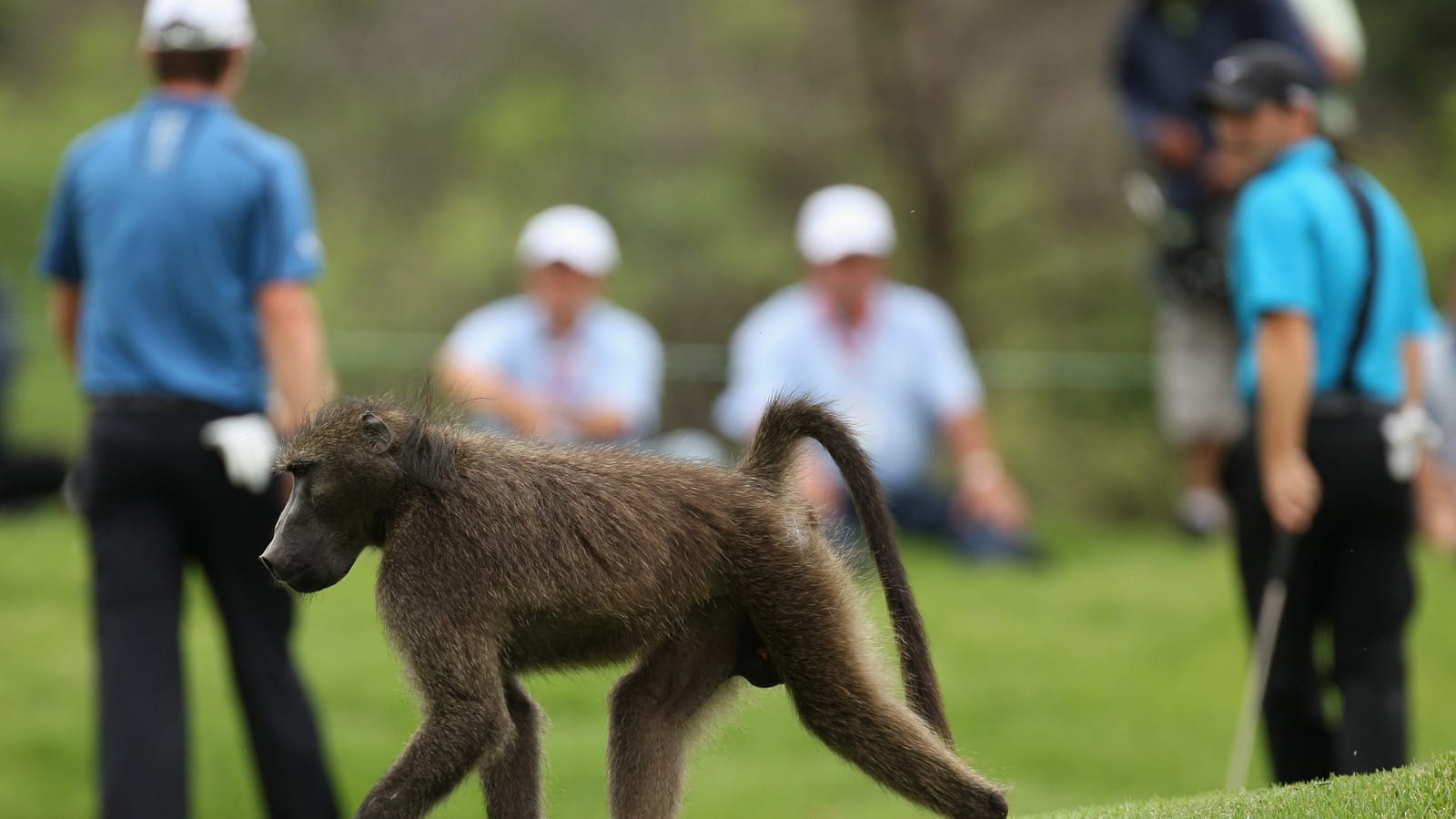 25 times Mother Nature disrupted sports