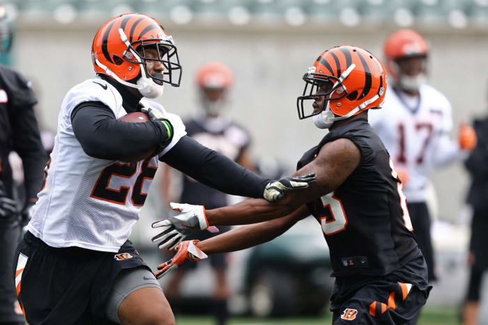 Cincinnati Bengals running back