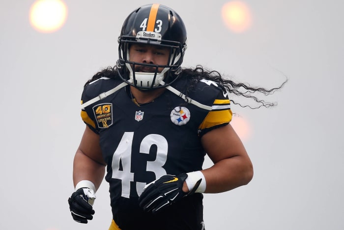Troy Polamalu, 2003